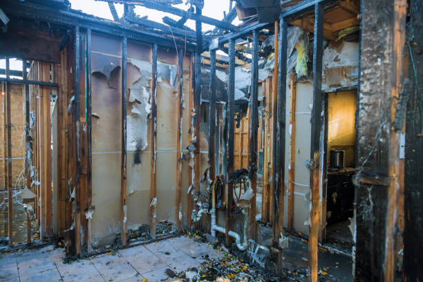 Professional Fire Damage Removal technician working in Spring Valley, WI